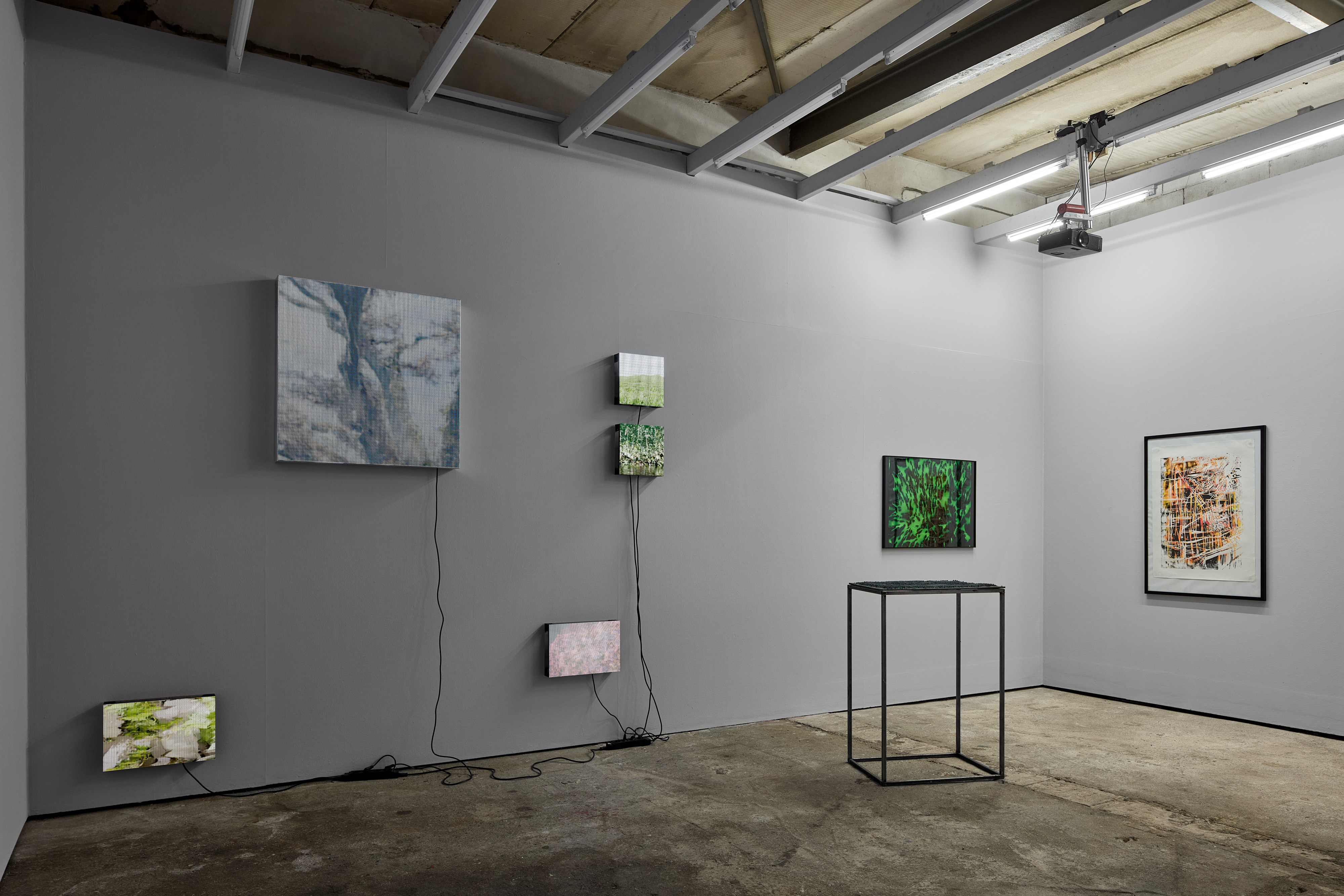 Installationsansicht mit fünf LED-Panels auf denen Video-Loops von Tonio Mundry laufen